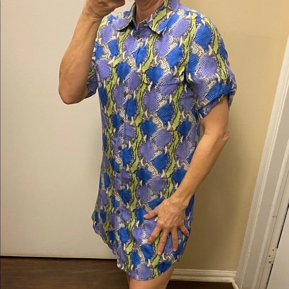 Equipment Snake Patterned Silk ShirtDress - Picture 2 of 6